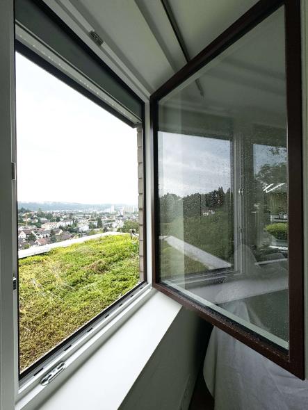 Fenster Leonberg